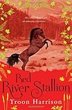 Red river stallion