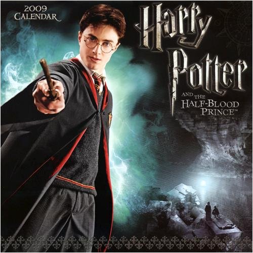 Harry Potter 2009 Wall Calendar