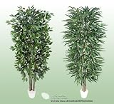 TWO 7' Artificial Trees - Very Full Ficus + Weeping Ficus with Real Wood Trunks