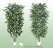 TWO 7' Artificial Trees - Very Full Ficus + Weeping Ficus with Real Wood Trunks