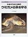 <STRONG>生命がうまれる海辺</STRONG> <STRONG>ウミガメの浜を守る</STRONG> <STRONG>(くもんの環境保護シリーズ)</STRONG>
