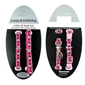 Puppy Fashion Collar & Lead Set Multi