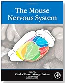 The Mouse Nervous System
