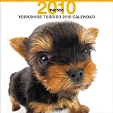 THE DOG ヨークシャ・テリア 2010年 カレンダー