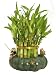 KL Design & Import - 3 Tier 4" 6" 8" Top Quality Lucky Bamboo Arrangement in a Hand Made Ceramic Fisherman and Frogs Vase