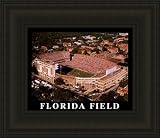 Small Griffin Stadium Florida Gators Aerial Framed Print - Black No Mat