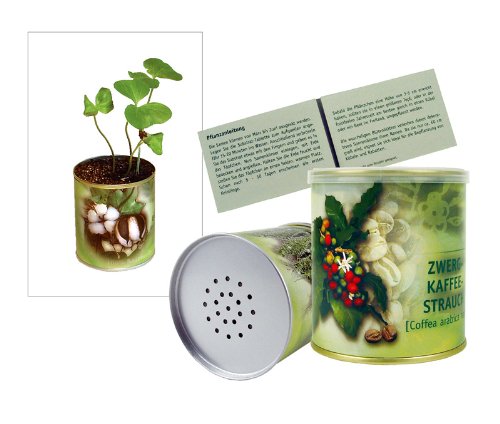 Greenhouse Kaffee