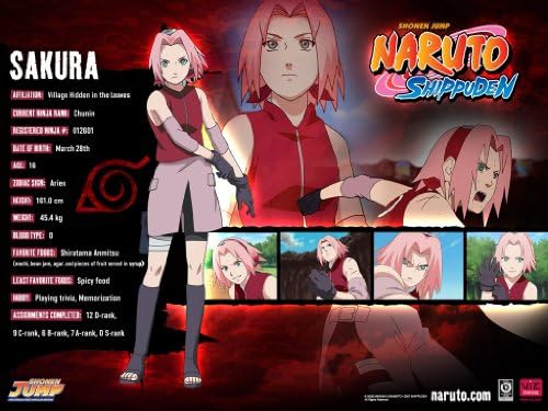 Red Naruto Ninja Leaf Village Head Band