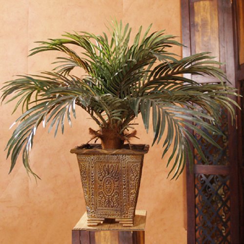 2′ Phoenix Palm Silk Floor Plant GR154-52