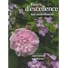 Roses d'excellence tout naturellement