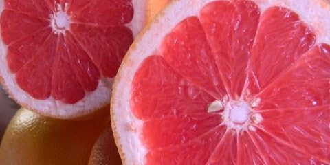南アフリカ産「スタールビーグレープ」大玉１５～１６玉