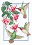Dimensions Needlecrafts Counted Cross Stitch, Hummingbirds Fuchsia