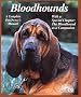 Bloodhounds Bloodhounds: Everything About Purchase, Care, Nutrition, Breeding, Behavior, and Training (Barron's Complete Pet Owner's Manuals)