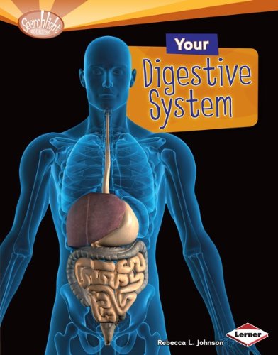 Your Digestive System (Searchlight Books TM - How Does Your Body Work?)
