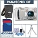 Panasonic Lumix DMC-TZ4 Digital Camera Kit, Silver with 2 GB SD Memory Card, Table Top Tripod, Camera Case, Professional Lens Cleaning Kit