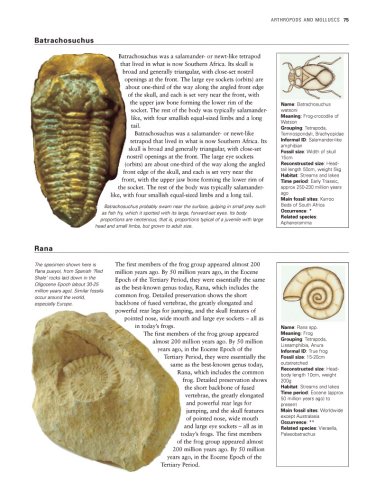 Cover image : The World Encyclopedia Of Fossils And Fossil-Collecting