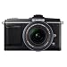 Olympus PEN E-P2 12.3 MP Micro Four Thirds Interchangeable Lens Digital Camera with 14-42mm f/3.5-5.6 Zuiko Digital Zoom Lens and Electronic View Finder