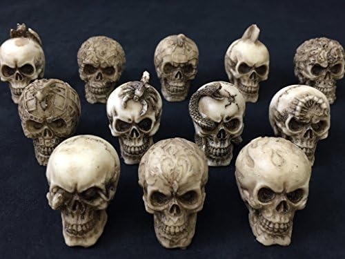 Mini Skeleton Skulls (Set of 12 Various Design) Polyresin Cast