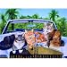On Vacation 1000pc Jigsaw Puzzle by Drew Strouble