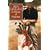 Ben Hogan: In Pursuit of Perfection DVD