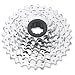 Sram 2010 PG-850 8-Speed Mountain Bicycle Cassette