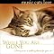 Curious Cat Sitting's Recommended Cat Products