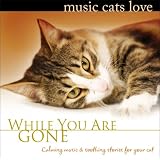 While You Are Gone