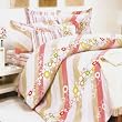 Blancho Bedding - [Pink Princess] Luxury Bed In A Bag Combo 300GSM