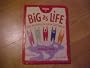 Big As Life, Volume 1: The Everyday Inclusive Curriculum