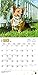 Welsh Corgis 2016 Calendar