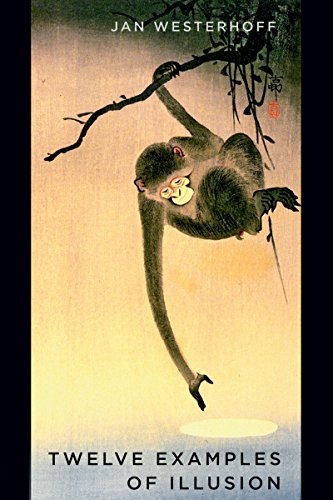 Twelve Examples of Illusion