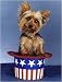 yorkshire terrier - Pet Star Patriotic Notecards - Yorkie