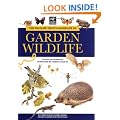 The Wildlife Trusts Handbook of Garden Wildlife