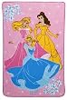 Disney Princess Magical Garden Ultra Soft Toddler Blanket
