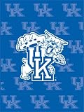 Kentucky Wildcats Logo College Collection Blanket