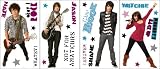 Camp Rock Self-Stick Room Appliques