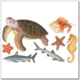 Sea Turtle, Sharks & Starfish Wall Under Sea Transfer Sticker Mural