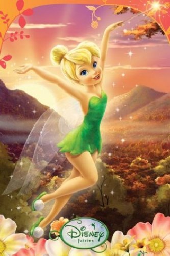 1art1 48627 Walt Disney - Feen, Blumen und Landschaft Poster 91 x 61 cm Preisvergleich