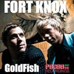 #4: Fort Knox