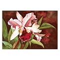 Orchid Bloom by Marilyn Murphy Outdoor Wall Art - 26x17"