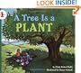 A Tree Is a Plant (Let's-Read-and-Find-Out Science)