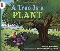 Tree Is A Plant