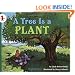 A Tree Is a Plant (Let's-Read-and-Find-Out Science)