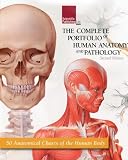 The Complete Portfolio of Human Anatomy and Pathology