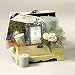 Baxter's Treasured Memories Gift Basket
