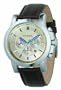 Fossil Chronograph Champagne Dial Watch