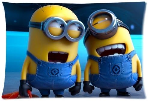 DiyCaseStore Funny Cute Despicable Me Minions Custom Zippered Pillow Cases 20x30 (Twin sides)