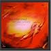 Classical Music : Metamorphosis