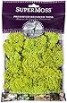SuperMoss (21708) Reindeer Moss Preserved, Chartreuse, 2oz