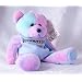 8 Inch Message Bear Grandson Multicoloured